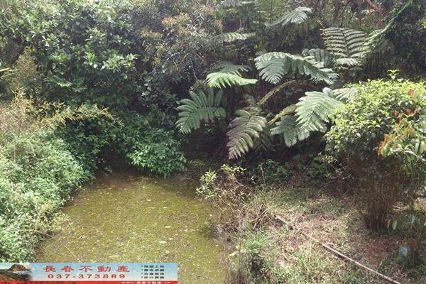 苗栗苗栗市農地-7