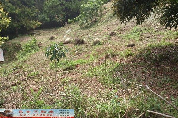 苗栗苗栗市農地-8