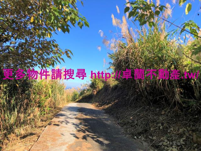 苗栗卓蘭農地-10