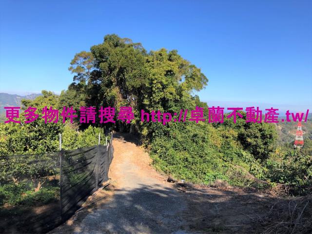 苗栗卓蘭農地-2