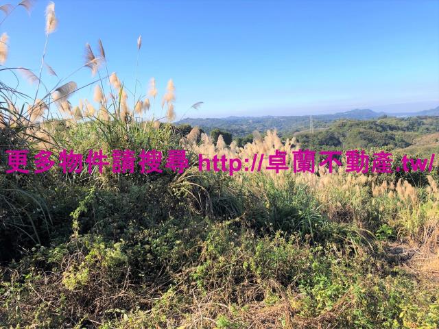 苗栗卓蘭農地-4