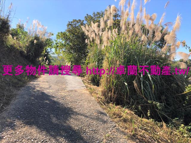 苗栗卓蘭農地-6