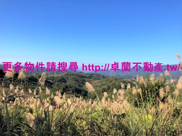 苗栗卓蘭農地-7