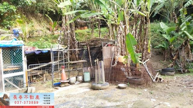 苗栗頭屋農地-2