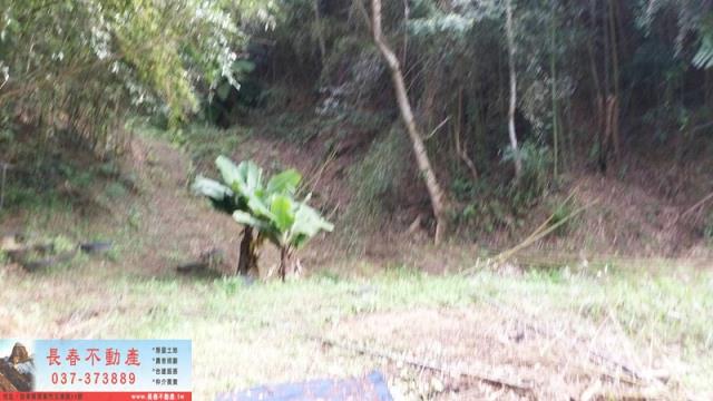 苗栗頭屋農地-5