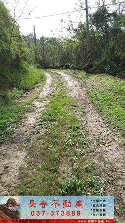 苗栗頭屋農地-7