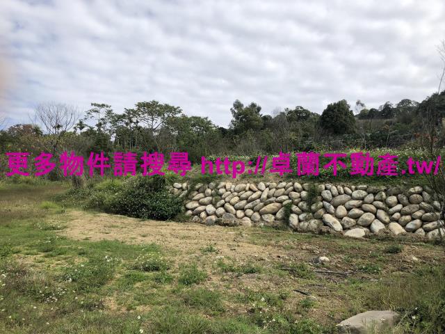 卓蘭農地-5