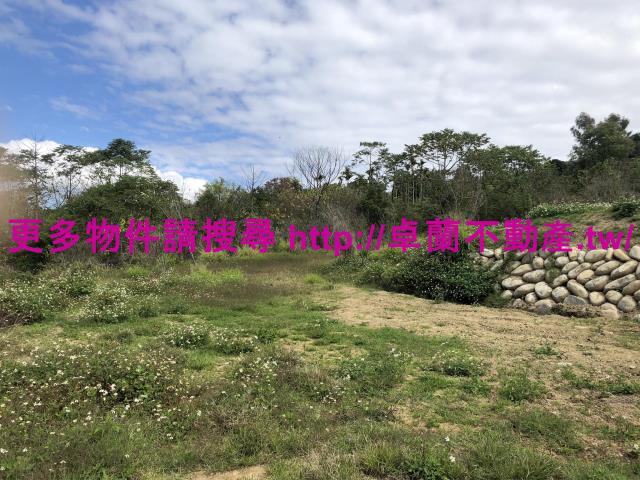 卓蘭農地-6