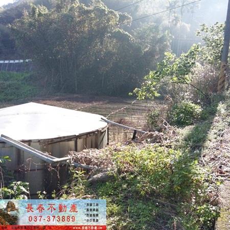 獅潭農地-5