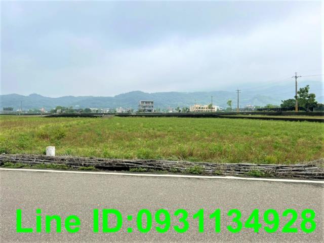 苗栗苑裡農地-0