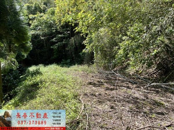 苗栗獅潭農地-0