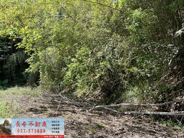 苗栗獅潭農地-1