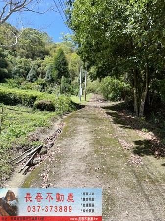 苗栗獅潭農地-2