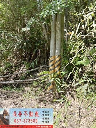 苗栗獅潭農地-3