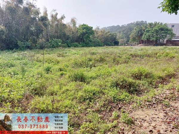 造橋農地-2
