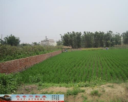 苗栗頭份農地-0