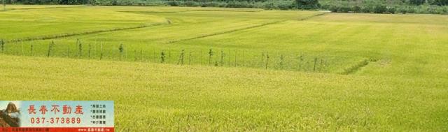 西湖農地-0