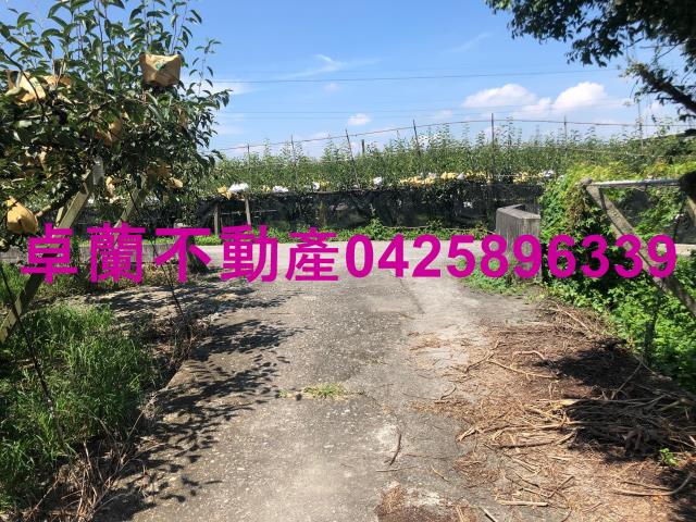 苗栗卓蘭農地-8