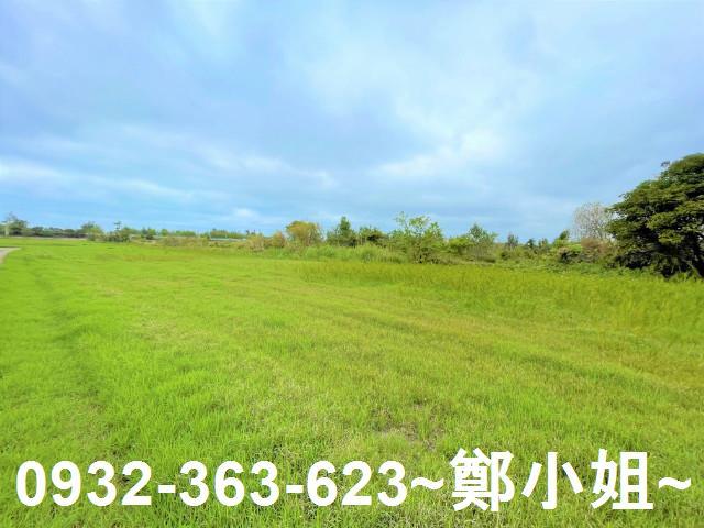 通霄農地-6