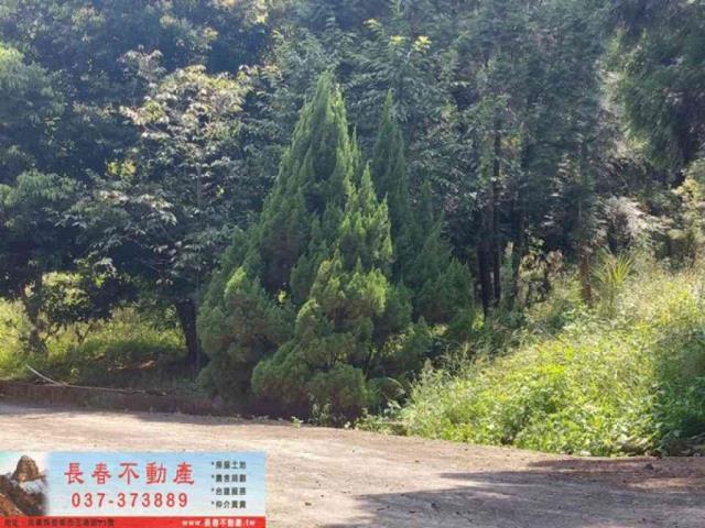 苗栗獅潭農地-2