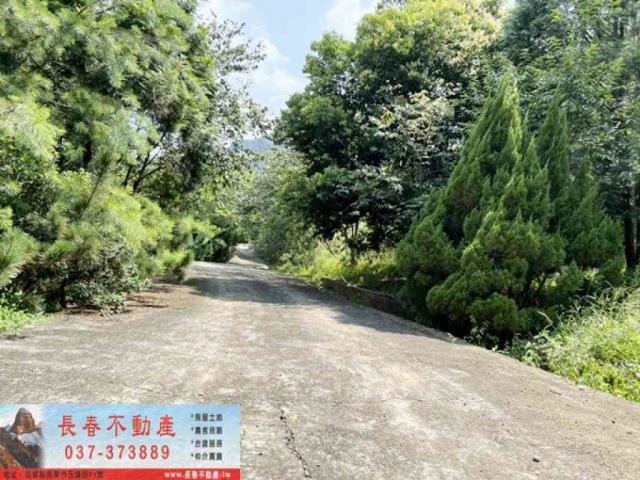 苗栗獅潭農地-3