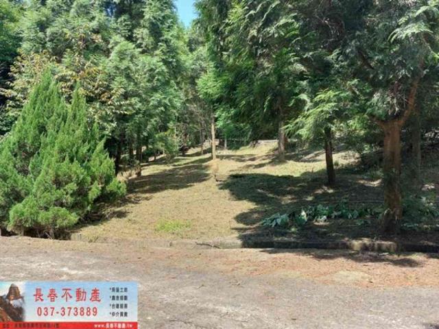 苗栗獅潭農地-4