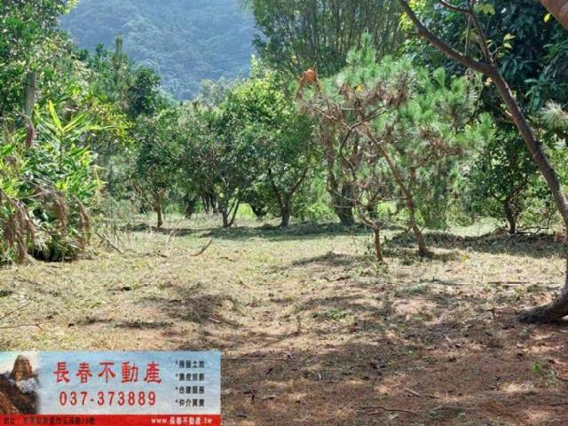 苗栗獅潭農地-7