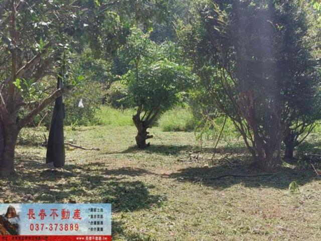 苗栗獅潭農地-8