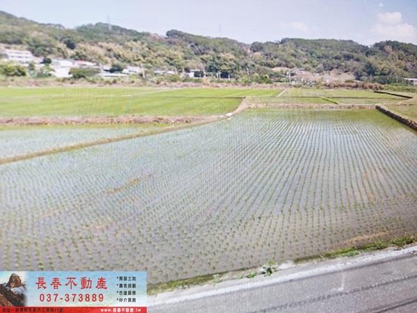 苗栗西湖農地-0