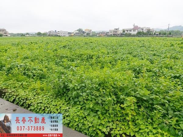 苗栗市農地-0