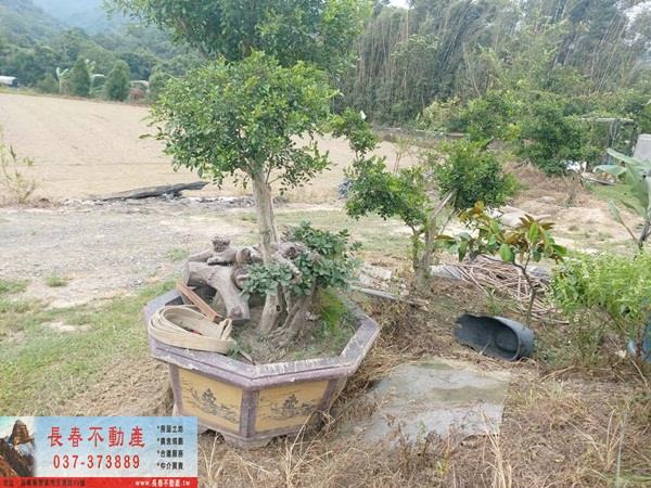 苗栗銅鑼農地-1