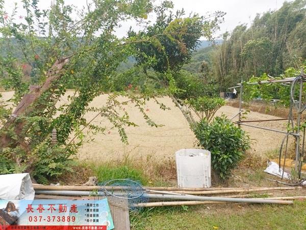 苗栗銅鑼農地-2