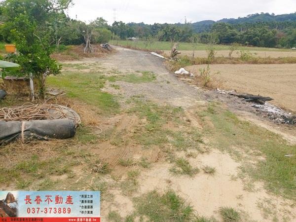 苗栗銅鑼農地-3