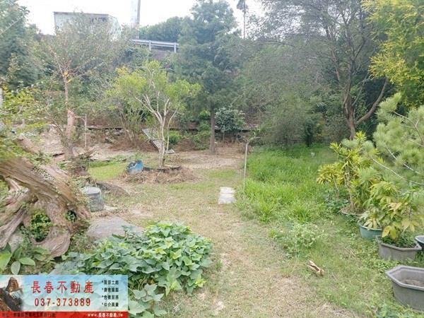 苗栗銅鑼農地-5