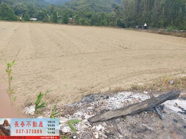 苗栗銅鑼農地-6