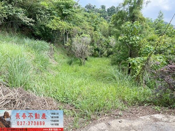 苗栗農地-3