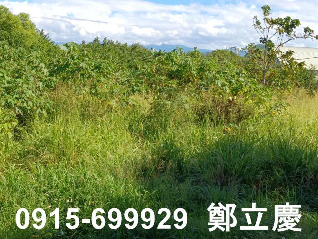 苗栗苗栗市農地-5