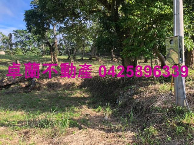 苗栗卓蘭農地-3