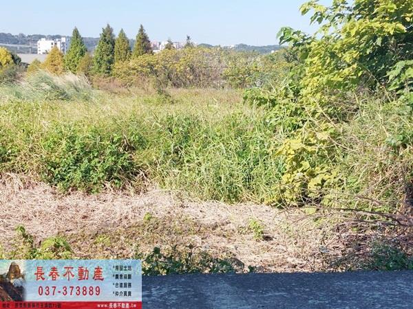 苗栗公館農地-0