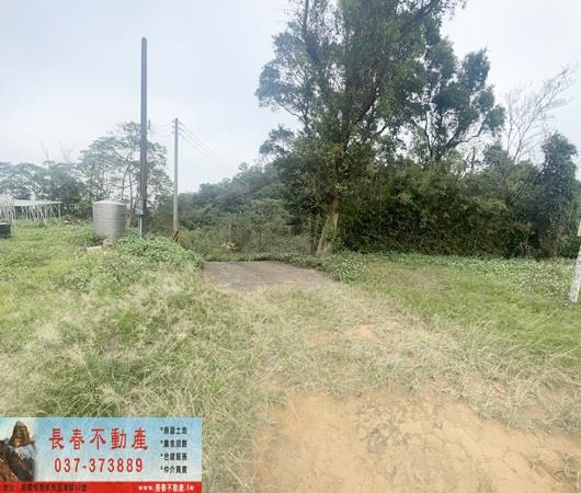 三灣農地-2