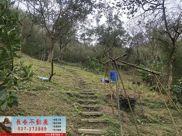 苗栗頭屋農地-5