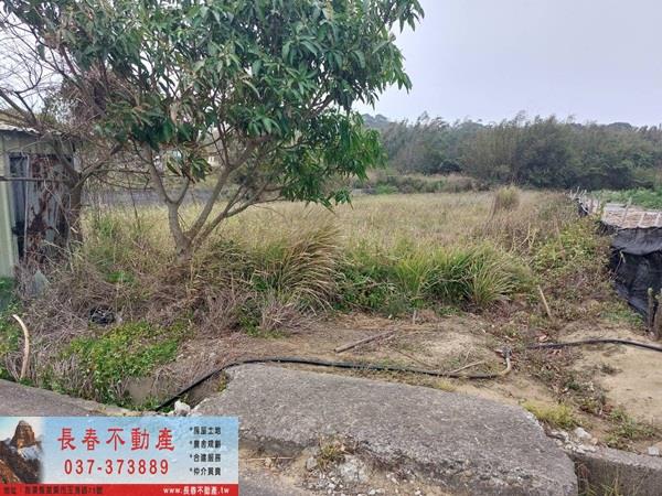 後龍農地-1