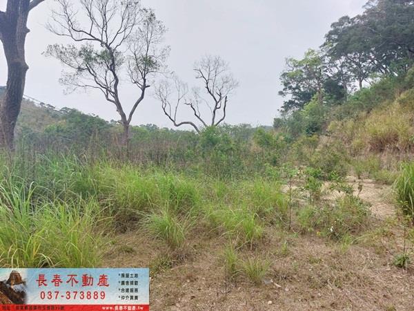 苗栗西湖農地-0