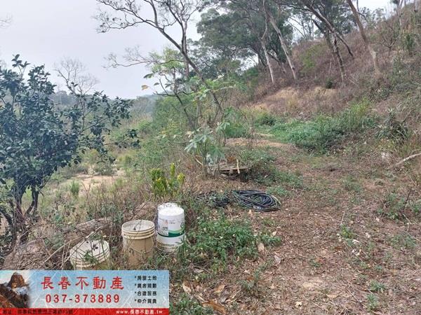 苗栗西湖農地-2