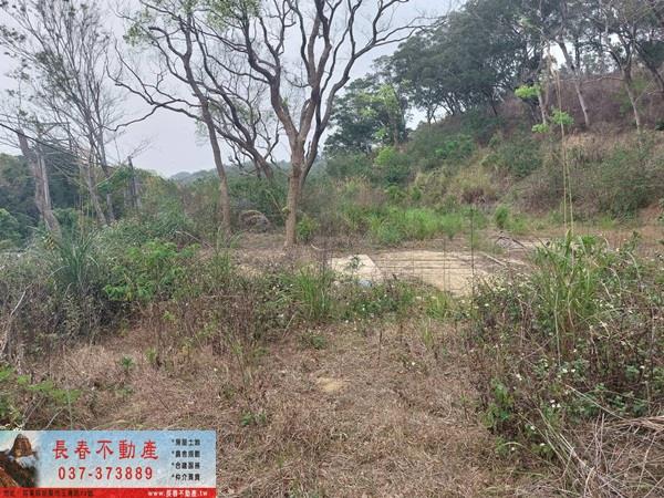 苗栗西湖農地-3