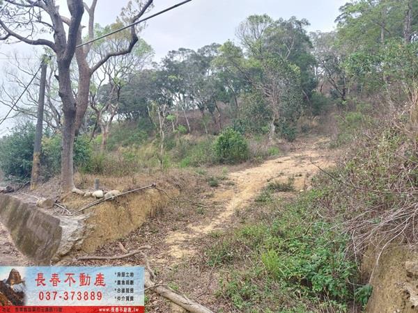 苗栗西湖農地-4