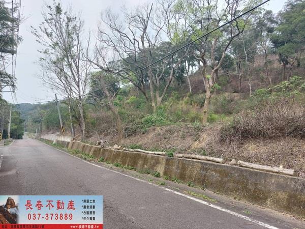 苗栗西湖農地-7