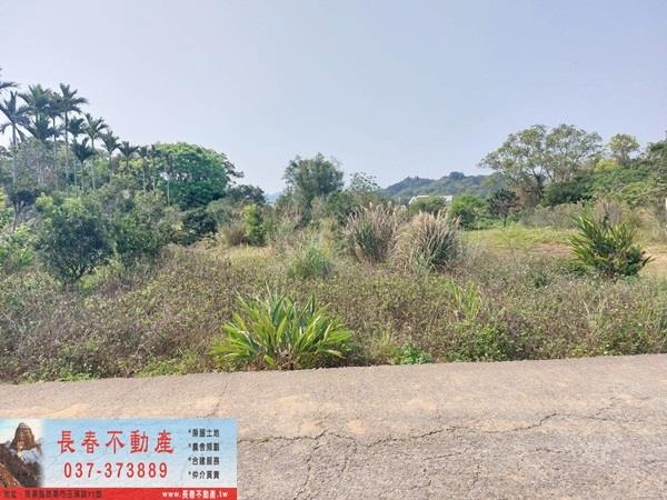 苗栗農地-0