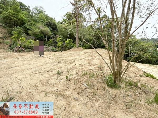 苗栗造橋農地-0