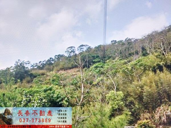 苗栗頭屋農地-3